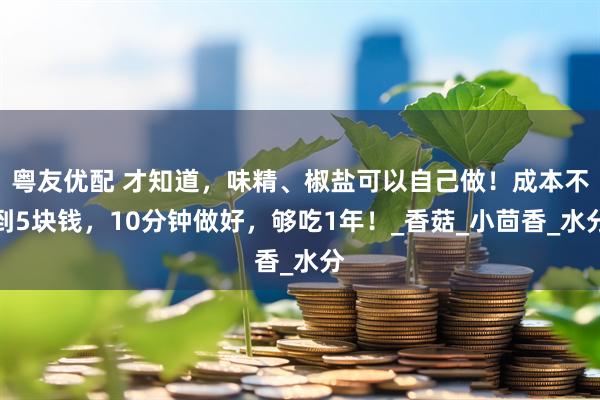 粤友优配 才知道，味精、椒盐可以自己做！成本不到5块钱，10分钟做好，够吃1年！_香菇_小茴香_水分