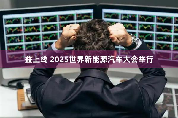 益上线 2025世界新能源汽车大会举行