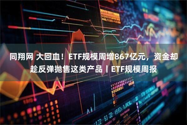 同翔网 大回血！ETF规模周增867亿元，资金却趁反弹抛售这类产品丨ETF规模周报