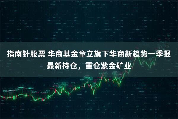 指南针股票 华商基金童立旗下华商新趋势一季报最新持仓，重仓紫金矿业